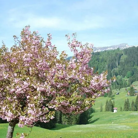 Mit 1 Schlafzimmer *